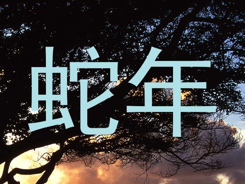蛇年