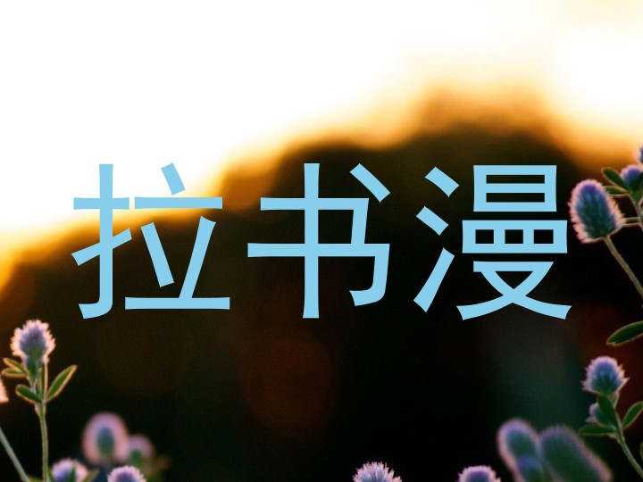 拉书漫