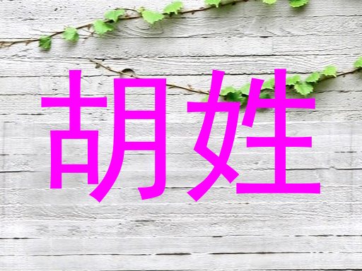 胡姓