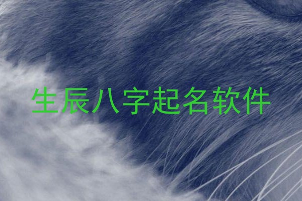 生辰八字起名软件