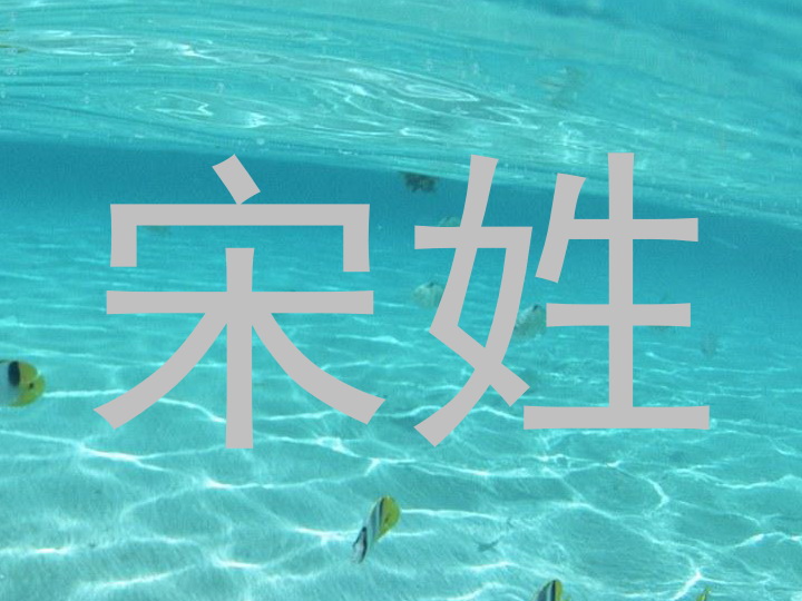 宋姓