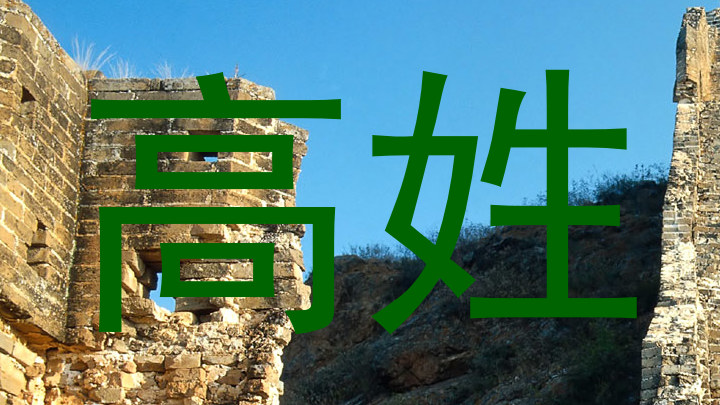 高姓
