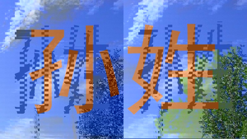 孙姓