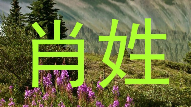 肖姓