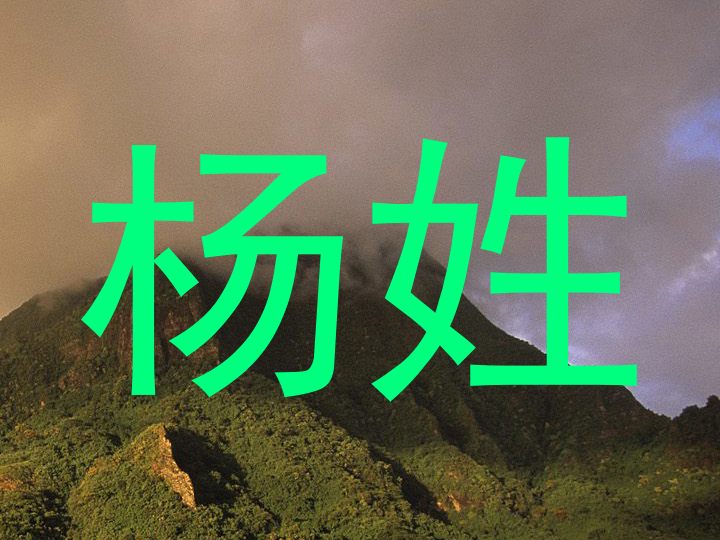 杨姓