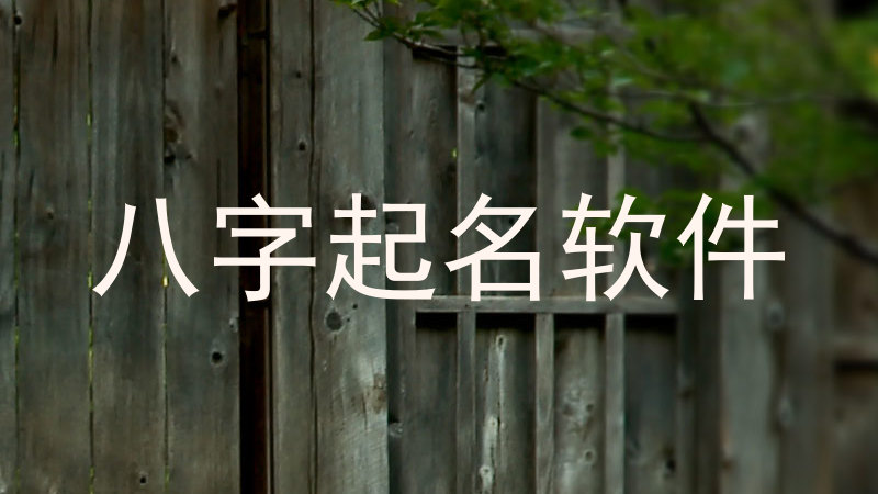 八字起名软件