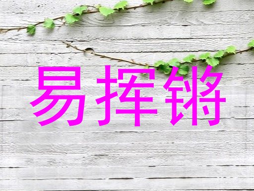 易挥锵