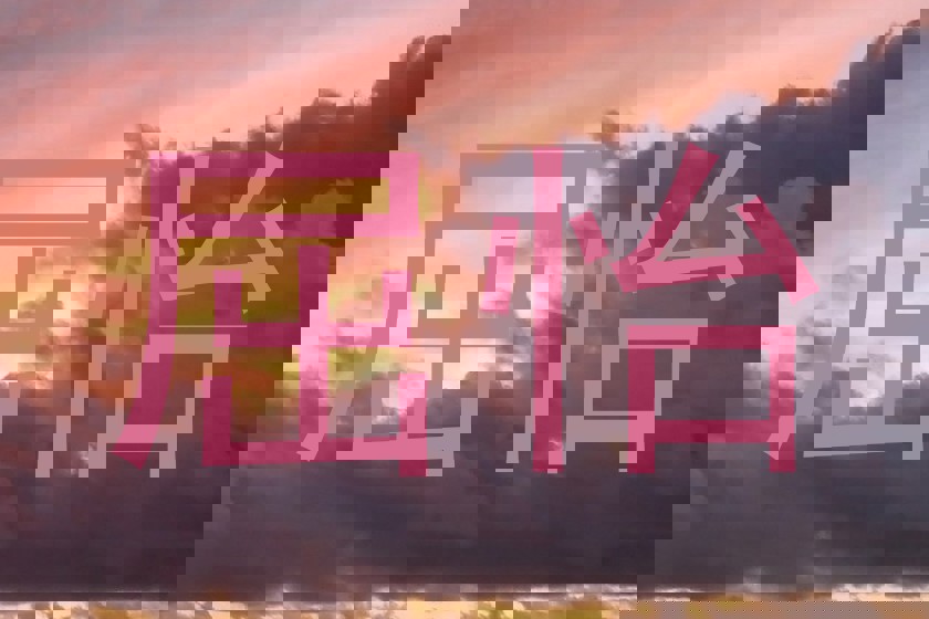 屈怡