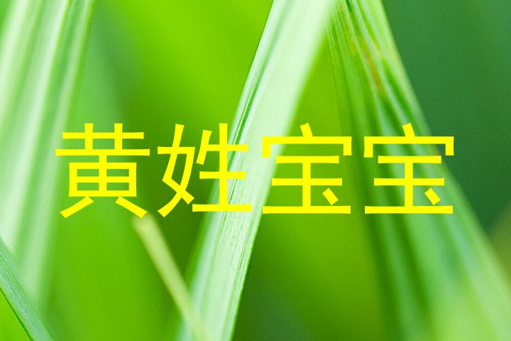 黄姓宝宝
