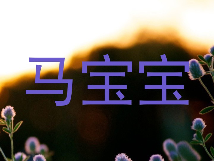 马宝宝