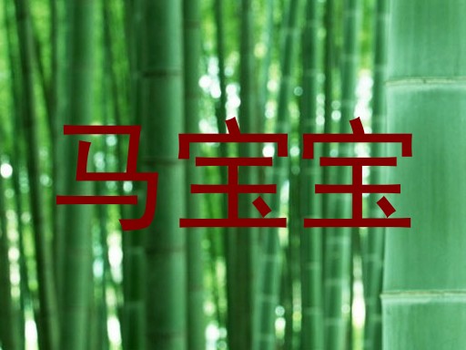 马宝宝