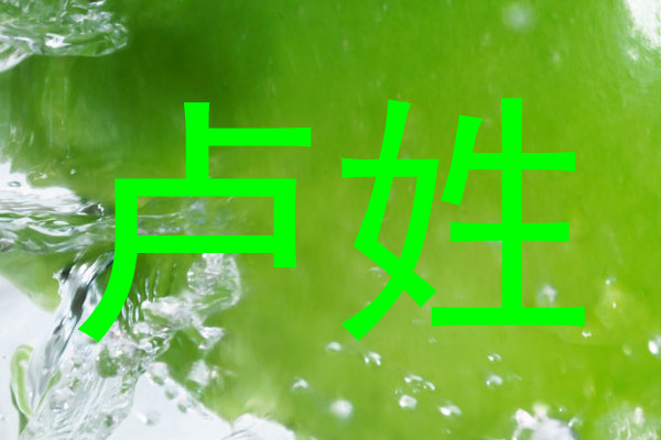 卢姓