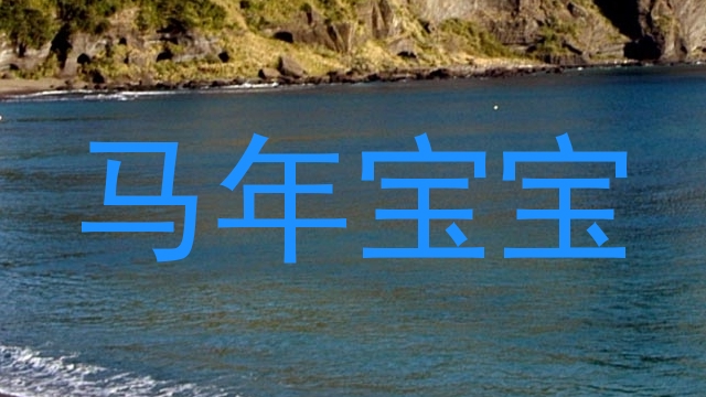马年宝宝
