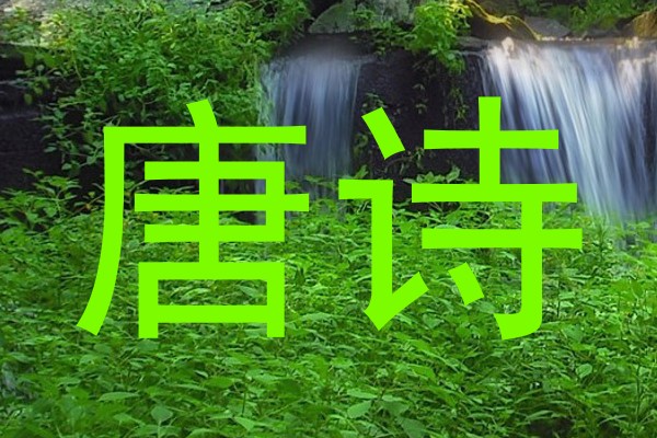 唐诗