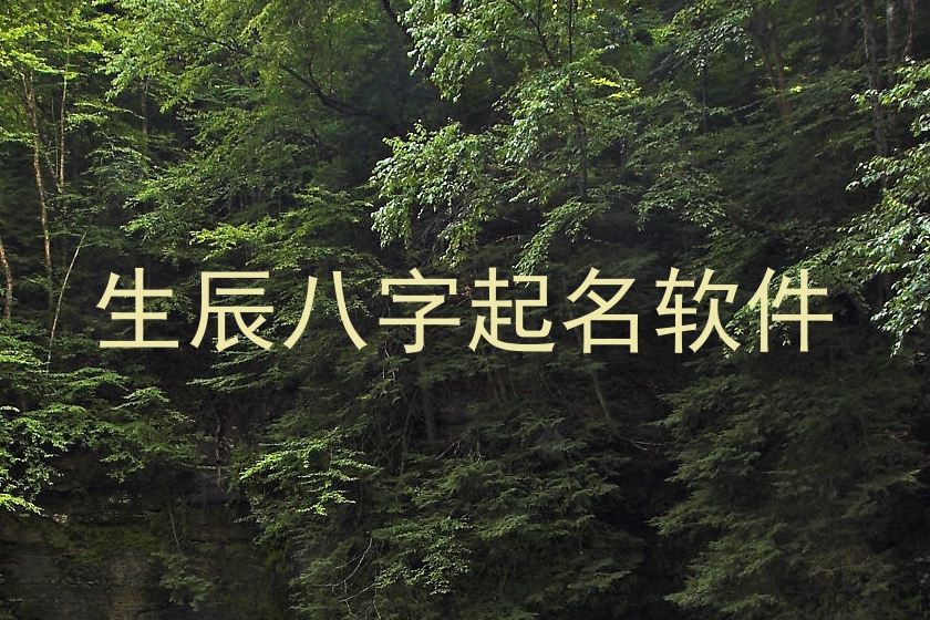 生辰八字起名软件