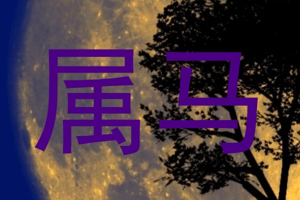 属马