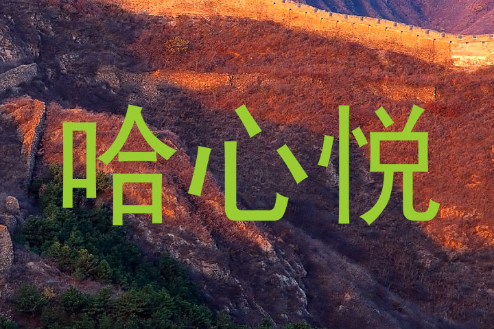 哈心悦