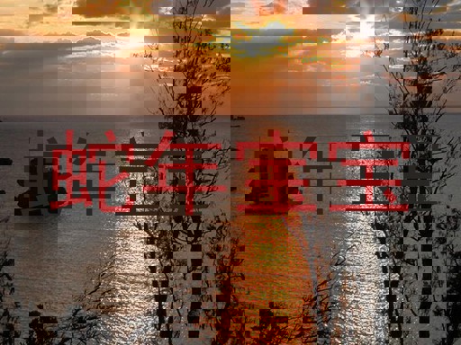 蛇年宝宝