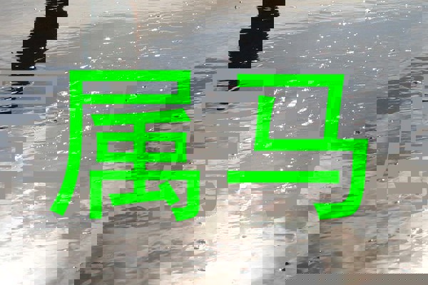 属马