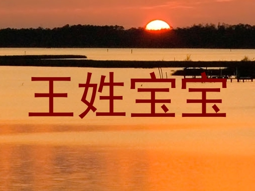 王姓宝宝