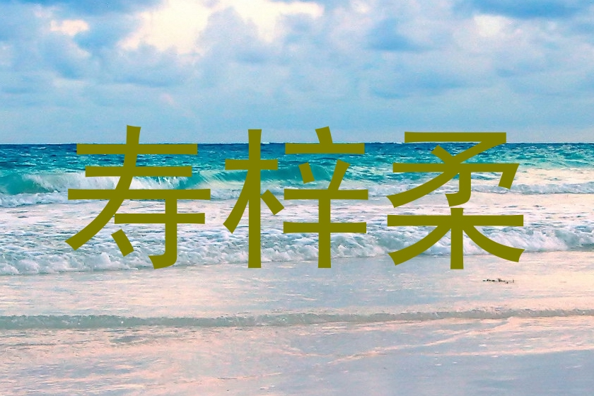 寿梓柔