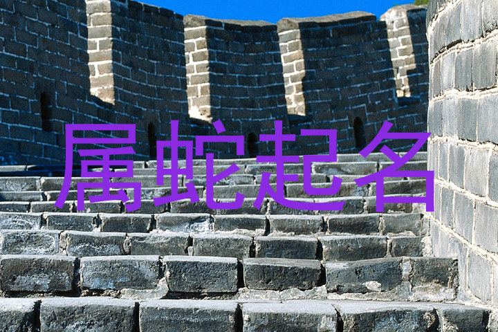 属蛇起名