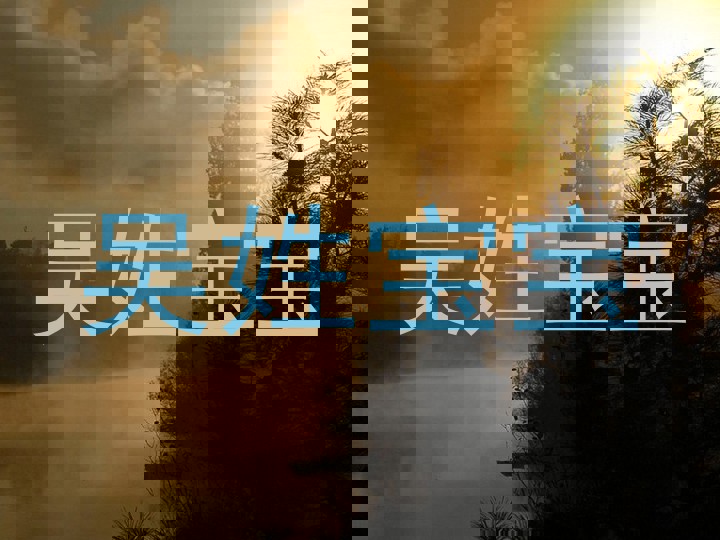吴姓宝宝