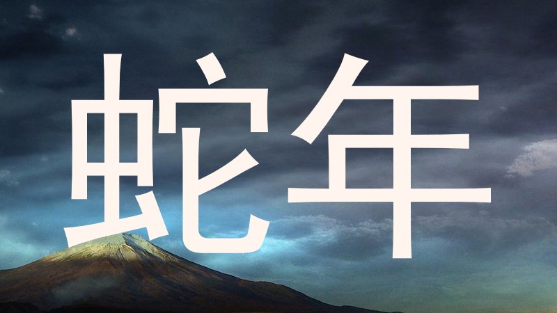 蛇年