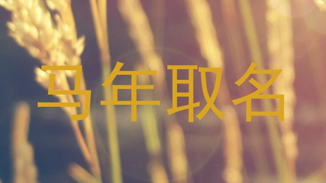 马年取名