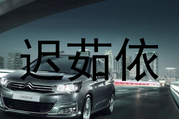 迟茹依