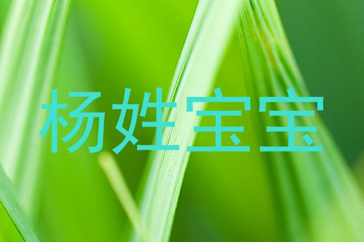 杨姓宝宝