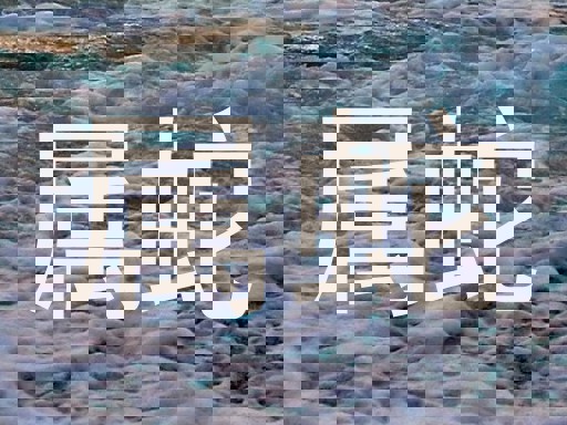 属蛇
