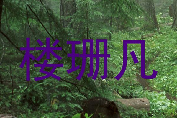 楼珊凡