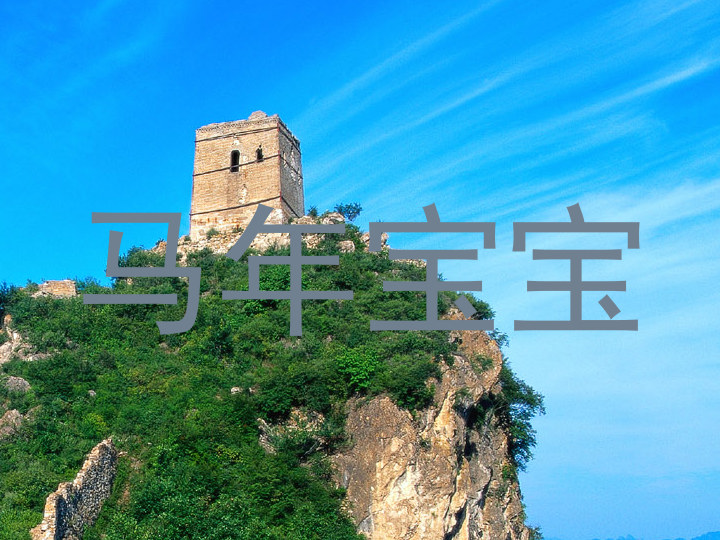 马年宝宝