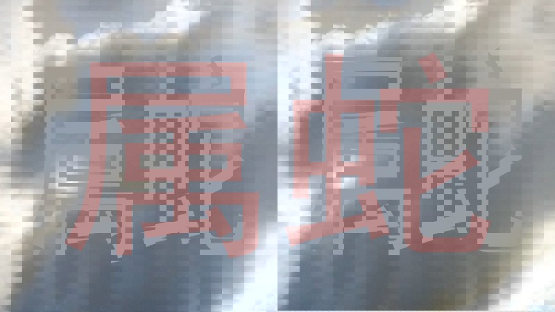属蛇