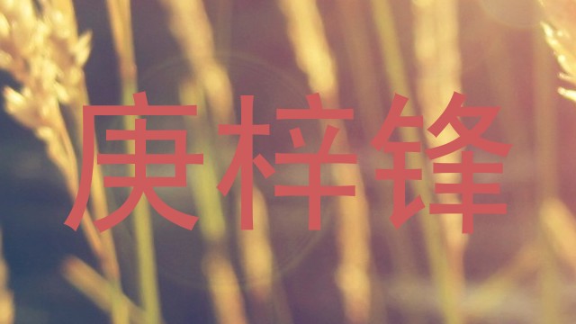 庚梓锋