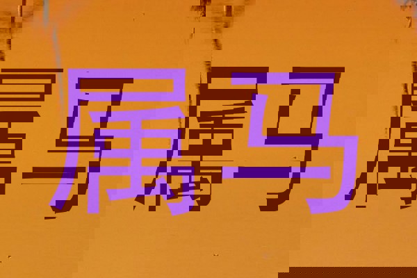属马