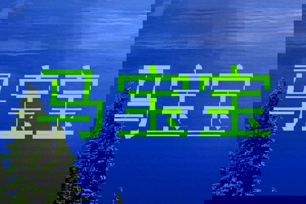马宝宝