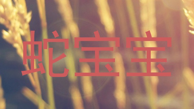 蛇宝宝
