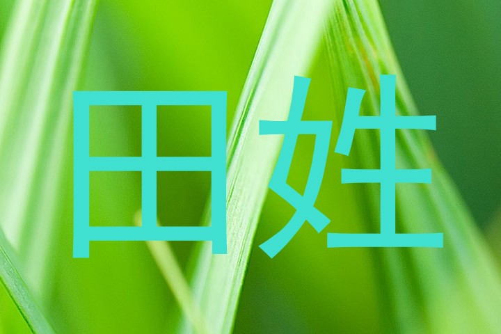 田姓