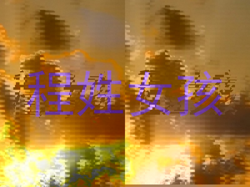 程姓女孩