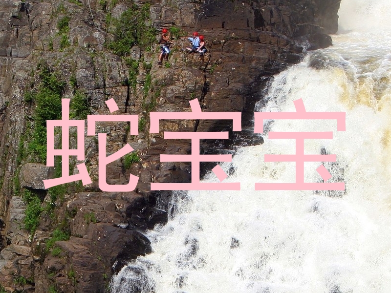 蛇宝宝