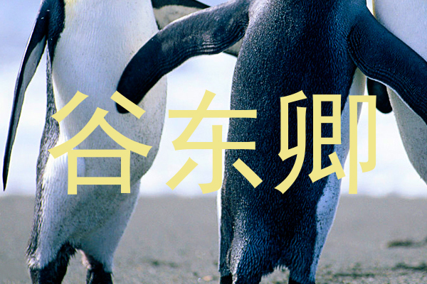 谷东卿