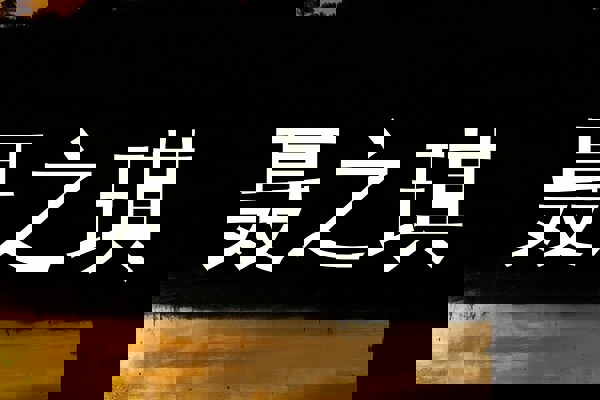 聂之琪