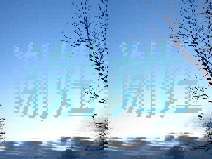 谢姓