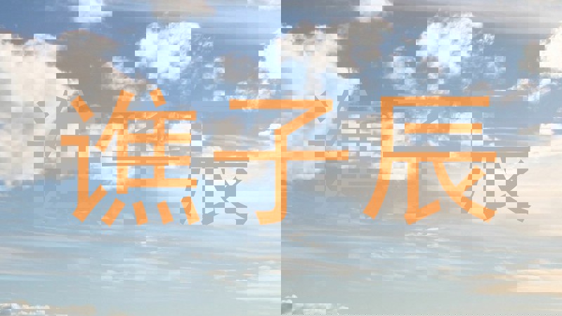 谯子辰