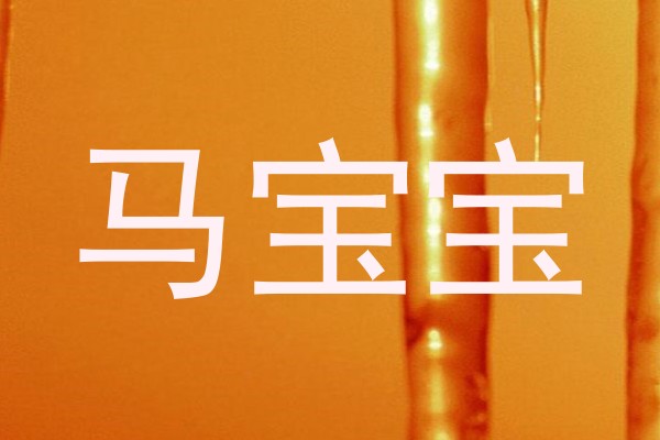 马宝宝