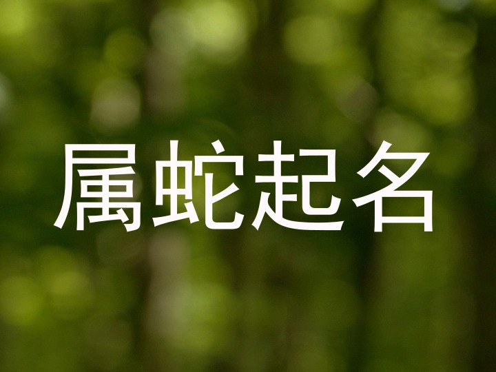 属蛇起名