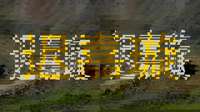 迟嘉璇