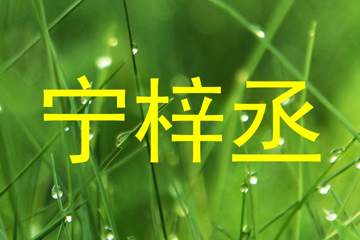 宁梓丞